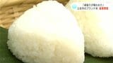 「頑張りが報われた」土佐市のブランド米が品評会で金賞受賞 市長に喜びの報告 | 高知のニュース・天気|KUTV NEWS | KUTVテレビ高知