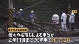 倒木や枝の落下 3年半の間で1732件　全国の公園・道路で　うち1件が東京・日野市の死亡事故|TBS NEWS DIG