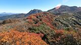“まるで絵画” 紅葉の絨毯広がる くじゅう連山 星生山の秋 大分 | 大分のニュース|OBS NEWS|大分放送