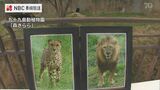 県内唯一の2頭が… 佐世保市の動植物園「森きらら」のライオンとチーターが死ぬ | 長崎のニュース | 天気 | NBC長崎放送