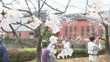 早くも桜満開！いいちこ日田蒸留所で春の蔵開き　|　大分のニュース｜OBS NEWS｜大分放送