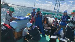 中国がIAEA福島第一原発処理水モニタリングのための海水採取に参加| TBS CROSS DIG with Bloomberg