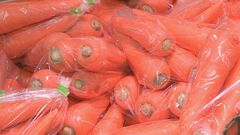 7月の野菜価格の見通し　｢レタス」「にんじん」「はくさい」が安い　「トマト」「きゅうり」など11品目は平年並み| TBS CROSS DIG with Bloomberg