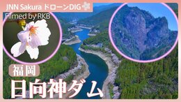 千本桜とハート岩【JNN sakuraドローンDIG 2026】|TBS NEWS DIG