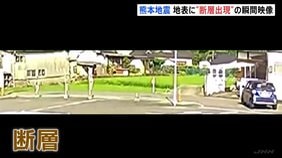 【瞬間映像】地表に”断層出現”　熊本地震　日奈久断層帯の周辺で活発な地震活動続く 「これで収まると考えないほうがいい」今後も注意必要|TBS NEWS DIG