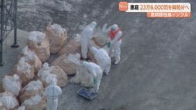 【高病原性鳥インフルエンザ】今季国内2例　北海道恵庭市の養鶏場で23.6万羽殺処分開始|TBS NEWS DIG