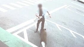 男性4人がイノシシに襲われる ｢飛びかかるように乗っていた｣ 約1時間半後に捕獲 突進してくる様子も… 愛知･豊田市|TBS NEWS DIG