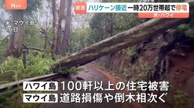 ハリケーン「ララ」ハワイに接近で20万世帯超の大規模停電発生 住宅被害や倒木相次ぐ　熱帯低気圧に変化も“再びハリケーンになる可能性”|TBS NEWS DIG