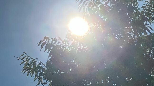 【高温情報】14日~15日にかけ 関東甲信で最高気温が35度以上となる所が 甲府37度、東京35度、横浜34度など【9都県の2週間気温予報】|TBS NEWS DIG