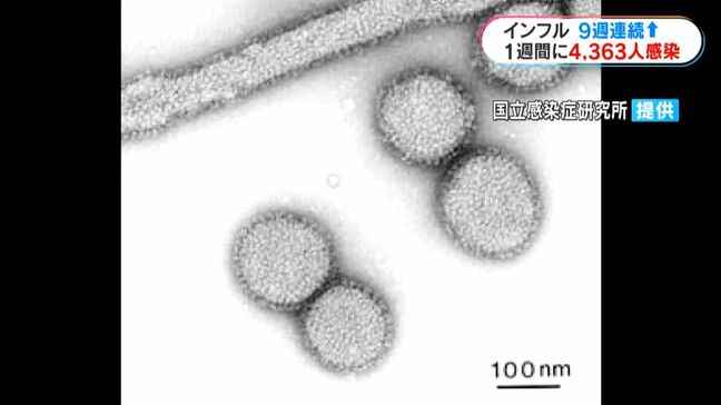 インフルエンザ9週連続増加「帰省で高齢者・大人数で会う機会」感染対策徹底を|TBS NEWS DIG