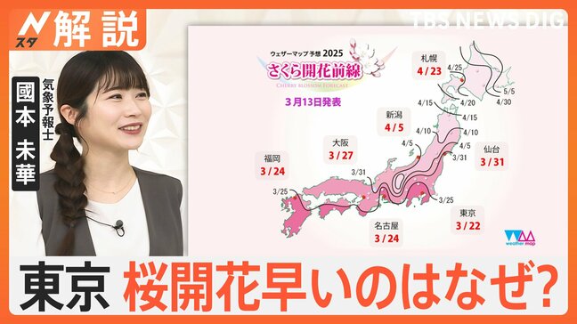 東京ポカポカ 4月下旬並みの気温、さくらの開花はいつ頃に？見ごろは？【Nスタ解説】|TBS NEWS DIG