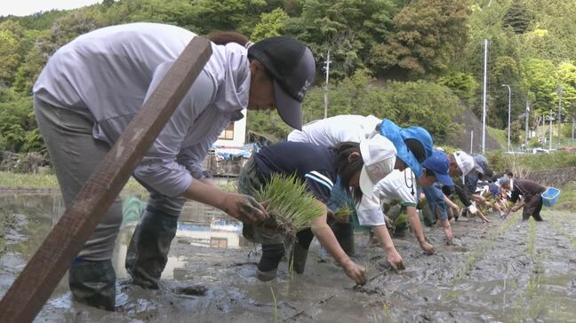 小学生らが田植え体験 地域住民と交流 ｢いろんな人に感謝しながら自分たちも…｣ 愛知・豊田市|TBS NEWS DIG