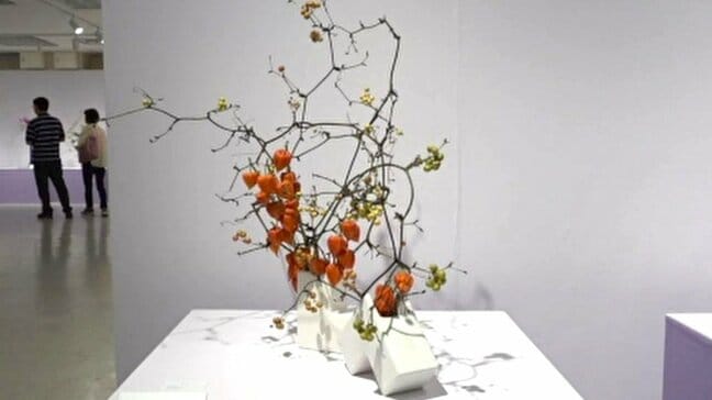 菊やコスモスが彩る「県いけばな協会展」が金沢で開幕 石川県内7つの流派から、秋の力作240点が集う|TBS NEWS DIG