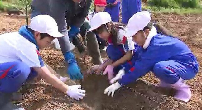 「大きくなって」収穫は2年後…小学生がワイン用ブドウの植え付け体験　長野・東御市|TBS NEWS DIG