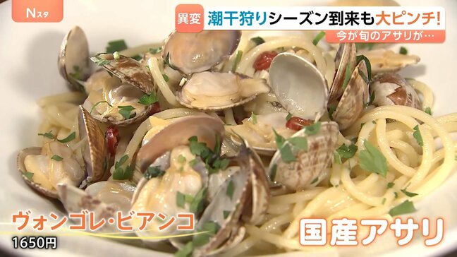 シーズン到来も国産アサリ激減で潮干狩りピンチ！「多くの人に楽しんでもらいたい」 潮干狩り場では別の産地の貝を撒いて対策も！？|TBS NEWS DIG