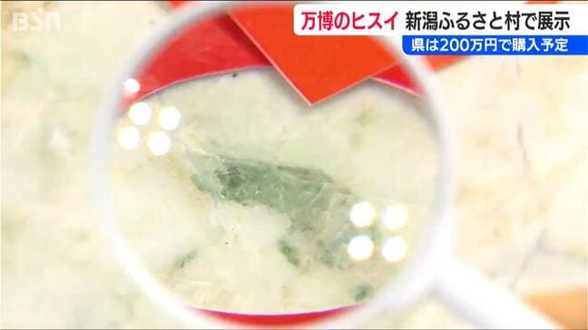 【大阪・関西万博】迎賓館でミャクミャクと共に各国要人を迎えた新潟県の石『ヒスイ』道の駅・新潟ふるさと村で展示|TBS NEWS DIG