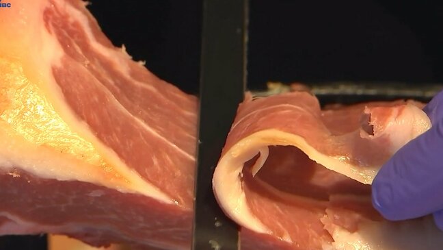 全国から20の生産者　国産生ハムフェスティバル　岩手で初開催|TBS NEWS DIG