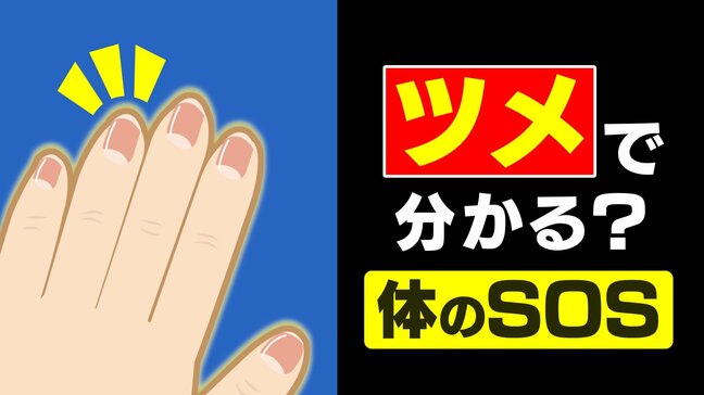 “爪切りの頻度” が減ったら体からのSOS…? 飲酒や喫煙など生活習慣も原因に 指先の数ミリの成長が示す「体調の履歴書」メカニズムは?【2025年度 話題の記事】|TBS NEWS DIG
