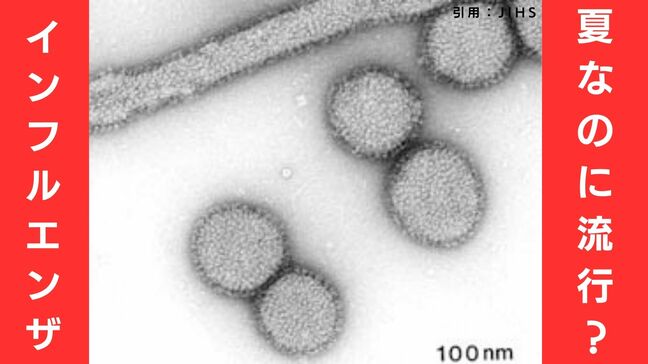 【インフルエンザ】夏なのに流行期入りの地域も　ワクチン未接種の人多く…感染対策に注意を　沖縄県や宮城県、新潟県などで「流行の目安」を超える　|TBS NEWS DIG