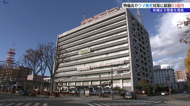 岩手県が物価高対策やクマ被害対策で約83億円の補正予算案を発表|TBS NEWS DIG