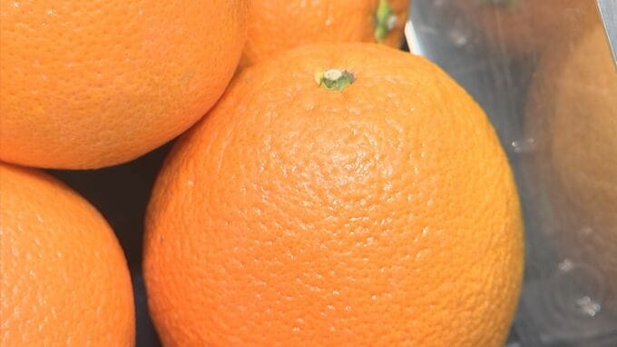 オレンジジュースがピンチ！オレンジ原産国で「カンキツグリーニング病」流行　ひっ迫状況しばらく続く予想も　|　BSSニュース | BSS山陰放送