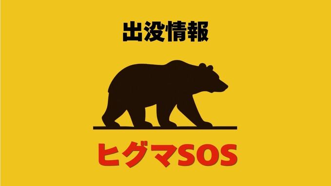 【羅臼町】草むらに消えたはずが…国道で車と子グマが衝突　親子グマが去ったのを見届けて発進した直後の事故　車破損、けが人なし|TBS NEWS DIG