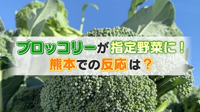 「指定野菜」にブロッコリーが仲間入り！実は体づくりに最適なすごい野菜だった【糸永調査隊】　|　熊本のニュース｜RKK NEWS｜RKK熊本放送