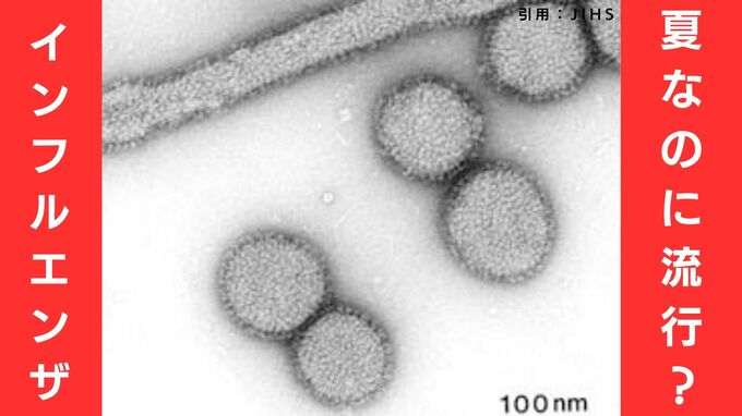 【インフルエンザ】夏なのに流行期入りの地域も　ワクチン未接種の人多く…感染対策に注意を　沖縄県や宮城県、新潟県などで「流行の目安」を超える　　|　MBSニュース | 関西の最新ニュースを分かりやすく。