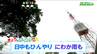 【14日宮城の天気】日中もひんやりとした体感が続く・昼前後にはにわか雨の所も【降水の予想図あり】tbc気象台　|　宮城のニュース│tbc NEWS│tbc東北放送