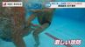 【県高総体】水中の格闘技・水球で火花を散らすライバル校！長崎工業 vs 長崎西が6日激突　|　長崎のニュース | 天気 | NBC長崎放送