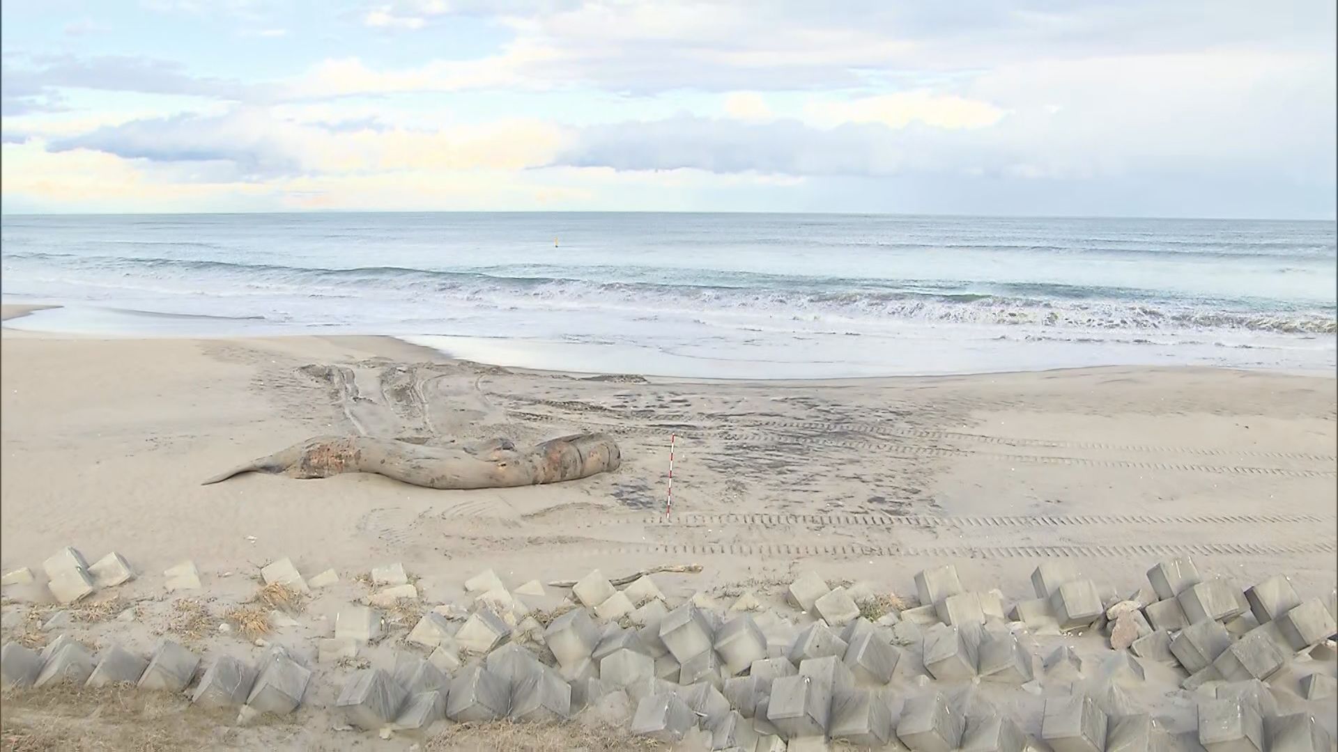 img_10147354794956385f6d5b4764