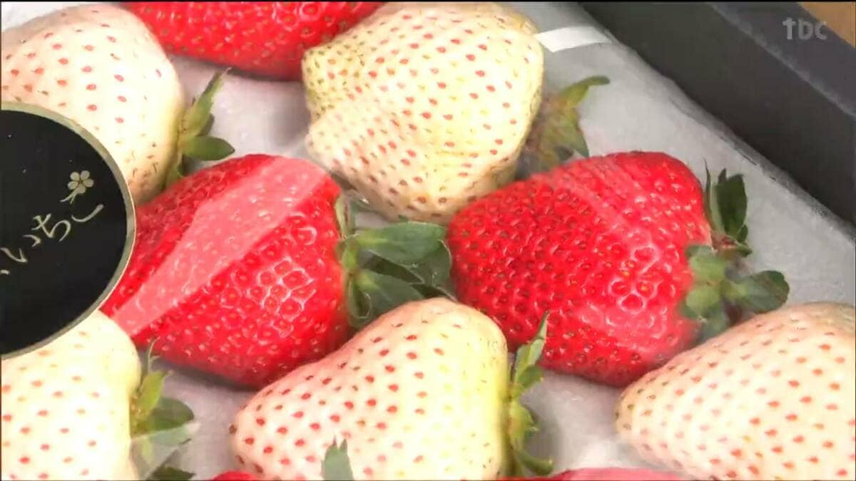 旬のイチゴ求め長い列 「やまもと夢いちごの郷」7周年記念感謝祭 宮城