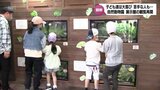 子どもたちは大興奮!　ボールニシキヘビやミツユビハコガメなど"は虫類"などの展示館　4年ぶりに観覧再開　宮崎市フェニックス自然動物園　|　MRTニュース ｜ ＭＲＴ宮崎放送
