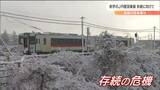 存続の危機“年間11億赤字JR陸羽東線”重くのしかかる「車じゃないと移動できない」高齢者ライフスタイルの変化「なんとか残したいと思うことが大事」存続派の男性の願いは届くか|TBS NEWS DIG