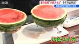 「抜群の甘さとシャリシャリ感!」出荷基準は4キロ以上 糖度11度以上 新潟県南魚沼市の特産八色スイカ今年のできは|TBS NEWS DIG