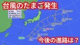 台風9号 暴風域を伴い1日夜~2日朝にかけて関東に「接近」 本州の南では「台風のたまご」 今後12時間以内に台風10号も発生 | 福岡のニュース|RKB NEWS|RKB毎日放送