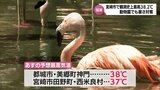 宮崎市で観測史上最高の38.2℃ 宮崎県内は危険な暑さ続く 水浴びや凍らせたペットボトルなど動物園の動物も暑さ対策 31日も最高38℃の予想も | MRTニュース | MRT宮崎放送
