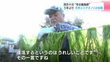 「復活するというのはうれしいことです」四万十川“冬の風物詩” 5年ぶり 天然スジアオノリの収穫 | 高知のニュース・天気|KUTV NEWS | KUTVテレビ高知