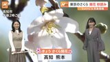 高知県と熊本県で、全国トップとなる「桜の開花発表」 東京では最短記録を更新か？【SUNトピ】|TBS NEWS DIG