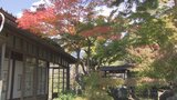 11月の県内の宿泊者数およそ78万人　11月として過去最多　紅葉シーズンのインバウンド観光が好調　山梨|TBS NEWS DIG