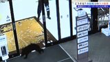 「ひとごとではない。たまたま秋田だっただけ」クマのスーパー立てこもりを受け、野生動物研究者が警鐘 なぜこの時期、市街地に?対策は?来春はさらに危険?|TBS NEWS DIG