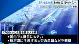 日本4位の大水槽が目玉“清水港の水族館”が2026年オープンへ=静岡県静岡市|TBS NEWS DIG