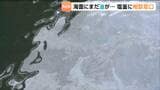 海面に今も油が「収入ストップした」巡視船の重油流出から1週間　宮城県が資金繰りなど漁業者の相談窓口を開設|TBS NEWS DIG