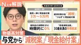 物価高で与党から「減税案」「現金給付案」、野党からも「若者減税法案」 実現求める声相次ぐワケ【Nスタ解説】|TBS NEWS DIG