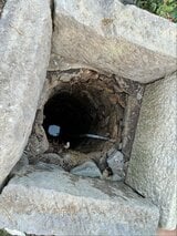 【続報】「悲鳴と水に落ちる音が聞こえた」4歳の女の子が深さ6メートルの井戸に落下 「寒いけどがんばって」救助隊が助け出す|TBS NEWS DIG