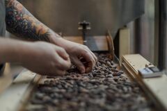 欧州チョコメーカー、価格競争力で優位に－カカオ生産国への米関税で| TBS CROSS DIG with Bloomberg