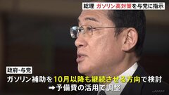岸田総理、ガソリン高騰対策を与党に指示　ガソリン補助10月以降も継続させる方向で検討| TBS CROSS DIG with Bloomberg