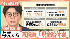 物価高で与党から「減税案」「現金給付案」、野党からも「若者減税法案」 実現求める声相次ぐワケ【Nスタ解説】| TBS CROSS DIG with Bloomberg