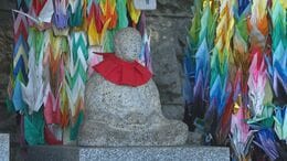 「自分の言葉が偽物に思えた」 カンボジアの青年からの問いが変えた、81歳女性の人生【戦後81年】|TBS NEWS DIG