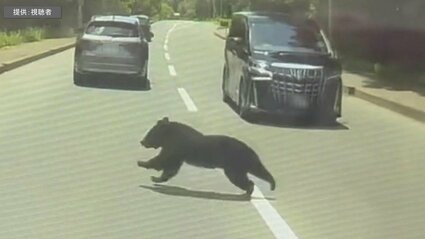 動画あり】ドライブレコーダーが捉えたのは道路を横切る「クマ」 走行